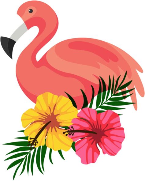Download And Share Clipart About Flamingo By Hanjorafael Flamingo Png