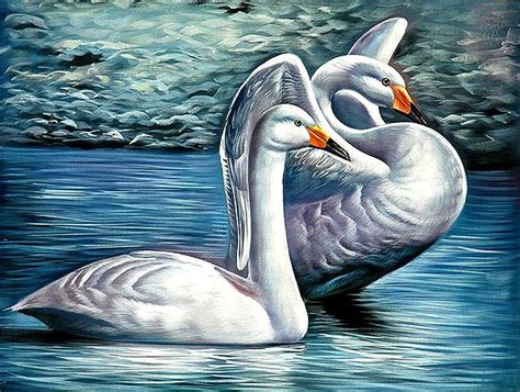 Swan Couple Exotic India Art