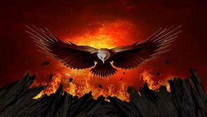 Eagle Fire Desktop Wallpapers Phoenix Android Eagles