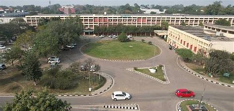 Punjab Agricultural University Pau Ludhiana Punjab India