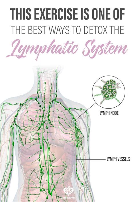 Rebounding Is One Of The Best Ways To Detox Your Lymphatic System In