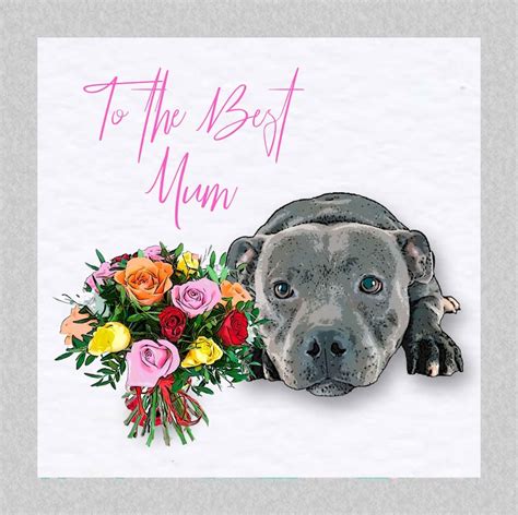 Staffordshire Bull Terrier Mothers Day Card Blue Etsy Uk