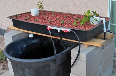 13 Diy Aquaponics Systems To Suit Any Budget