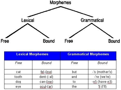 Check spelling or type a new query. 2) Introduction to morphemes