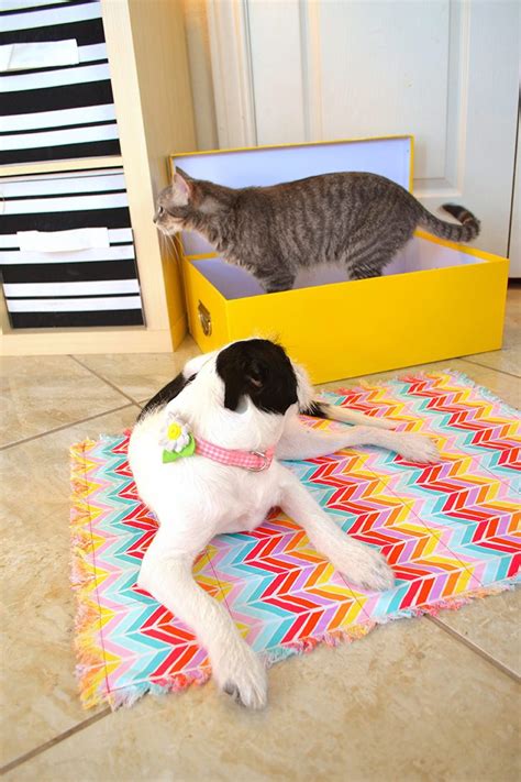 Looking for a calming pet bed to pamper your cat or dog? Calming Kitty Quilt and Cat Bed - #FearFree - Dream a ...