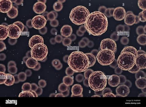 Group Of Cancer Cells Under A Microscope Stock Photo Alamy