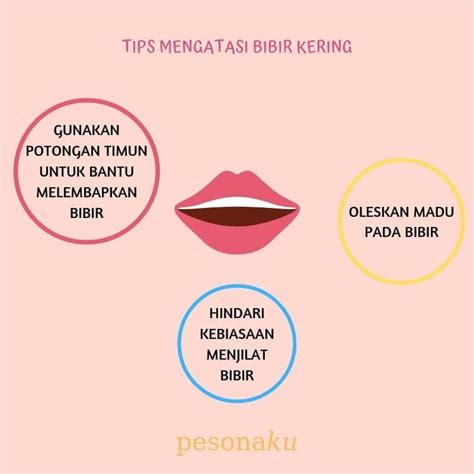 Carter yang bekerja sebagai agen tidak diperlakukan sebagaimana mestinya karena dia seorang wanita. Bibir kering bisa kamu atasi dengan melakukan beberapa hal ...