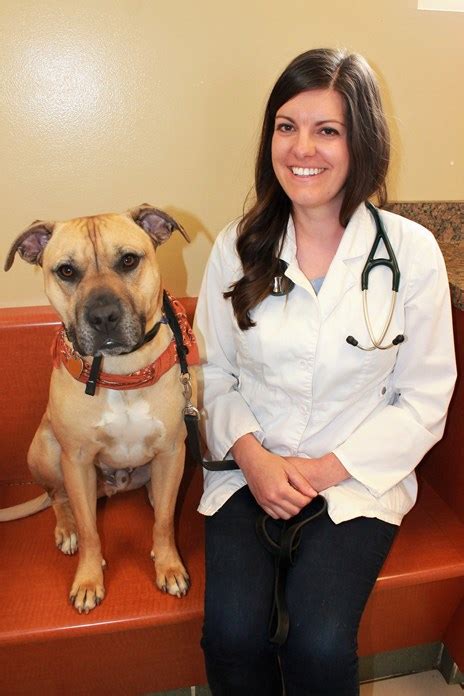 Staff here is very friendly and. Dr. Mallory Willkom