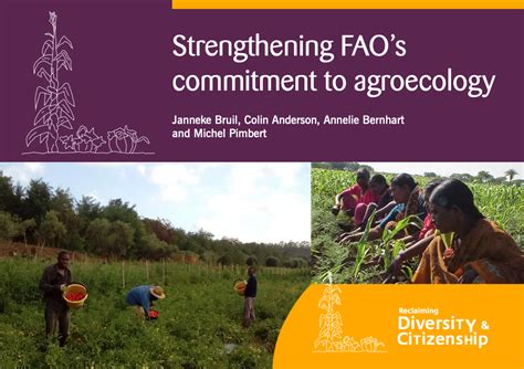 Strengthening Faos Commitment To Agroecology Agroecology Now