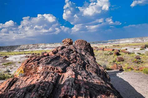 The Ultimate Guide To Visiting Petrified Forest A Couple Days Travel