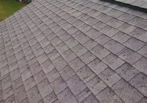 Insurance Denies Your Roof Claim What Next 3 Steps To Follow