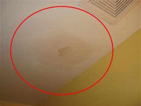 Old and crumbling shingles and weakened seals around the roof vents can allow water from rain or snow to enter your home. Roof Leaks | ProMaster Cincinnati (513) 322-2914