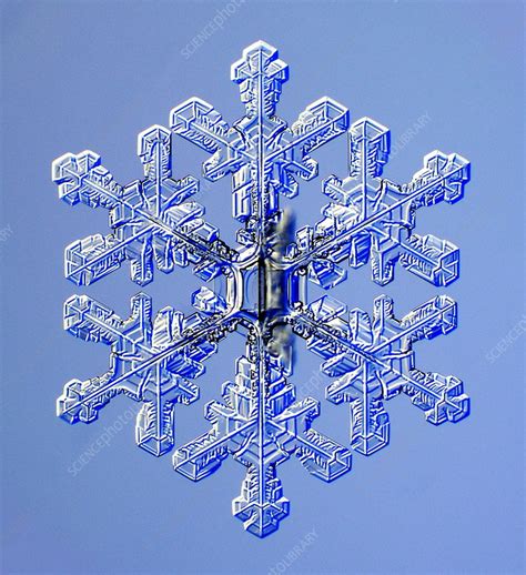 Snowflake Stock Image E1270433 Science Photo Library