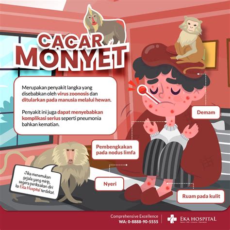 Virus Cacar Monyet Yang Perlu Kamu Waspadai Dan Kenali Gejalanya Eka Hospital