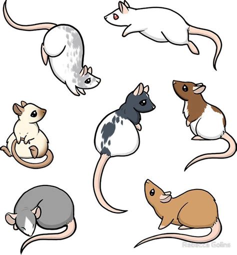 Rats Sticker By Rebecca Golins Cute Drawings Cartoon Rat Cute Rats