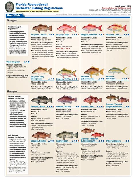 Florida Fish Size Chart