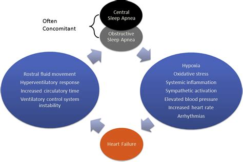 Sleep Disordered Breathing In Patients With Heart Failure Heart