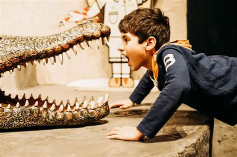 Reptilia Zoo Things To Do With Kids In Toronto Toni Fifi