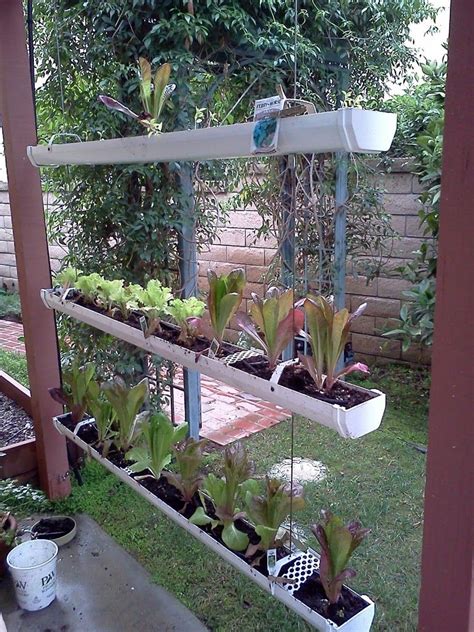 Plants breathe life into a home, adding beautiful colors and textures that only add to your home decor. A gutter garden for vertical growing. Can add an aquaponic ...