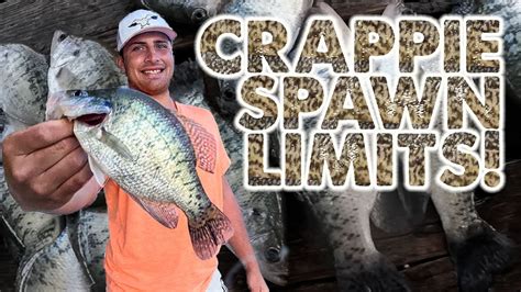 Fishing For Spawning Crappie Limits Youtube