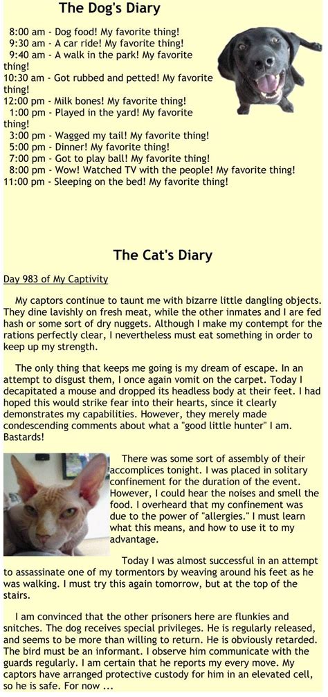 The Skinniest You Cat Diary Bones Funny Funny Animals