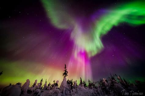 Shimmering Aurora In Enigmatic Lapland Finland Places To See In Your
