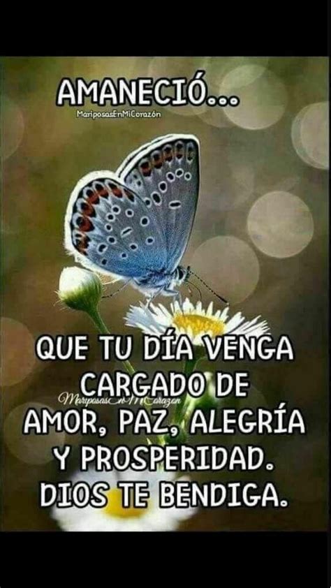 Amaneció Cute Good Morning Quotes Morning Quotes Funny Good Day