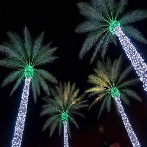 Beach Holiday Decor Image By Anjie Friedel Palm Tree Christmas Lights