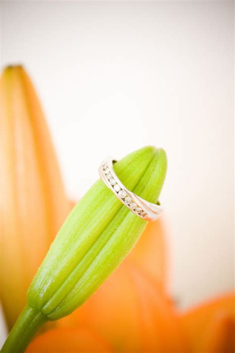 Engagement Ring Free Stock Photo Public Domain Pictures