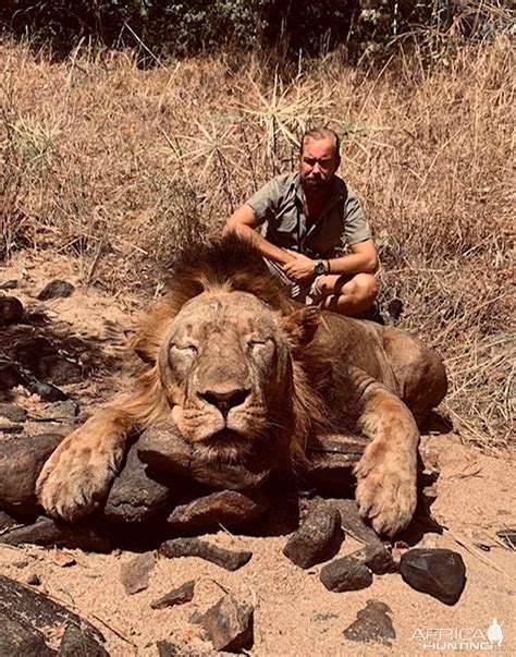 Hunting Lion In Zambia