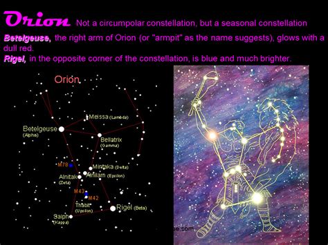Orion Not A Circumpolar Constellation But A Seasonal