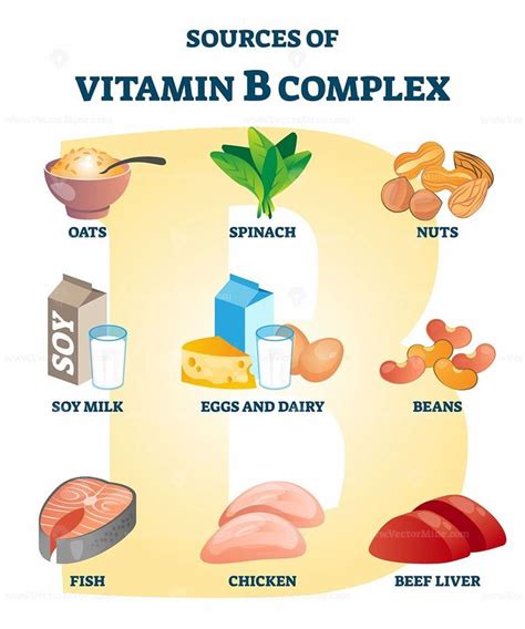 Source Of Vitamin B Complex With Labeled Healthy Food Nutrient Example