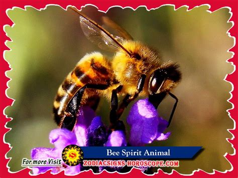 The bee totem comes to remind you to enjoy what you could be missing. The Bee Spirit Animal: Meaning, Symbolism, Dreams of Honey Bee Totem