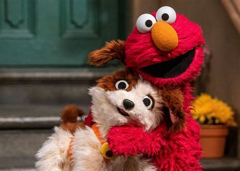 ‘sesame Street Introduces Elmos Adopted Puppy To Teach Pet Responsibility