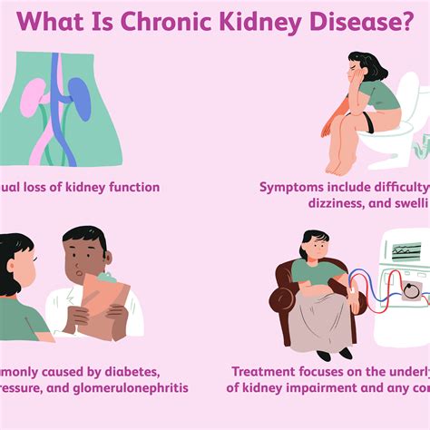 Renal Disease Cause Kidney Failure Types Symptoms Causes And