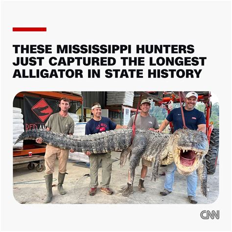 A Group Of Mississippi Hunters Have Broken The State Record For The