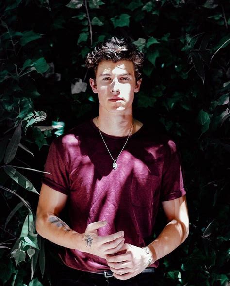 Shawn Mendes 2019 Wallpapers Wallpaper Cave