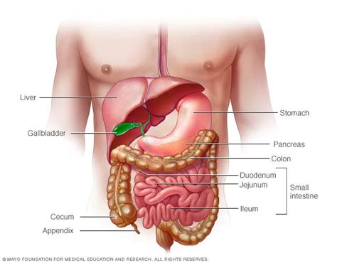 Enfermedad intestinal inflamatoria Síntomas y causas