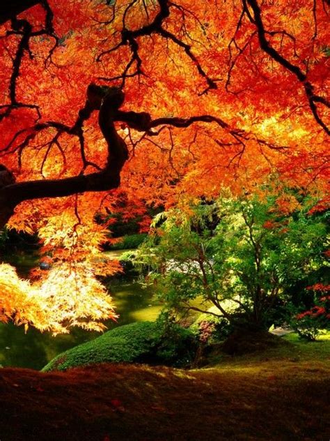 31 Beautiful Autumn Wallpapers Beautiful Landscapes Autumn Scenery