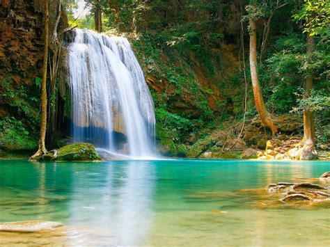 Nature Falls Pool With Turquoise Green Water Rock Coast Trees Hd ...