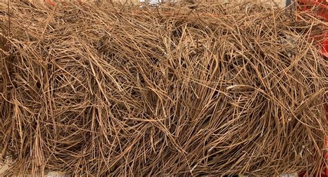 Pine Straw Natures Earth Products