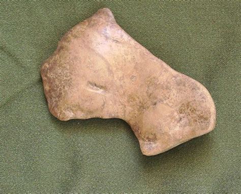 Rare Paleo American Indian Stone Axe Artifact 14000 11000 Bp