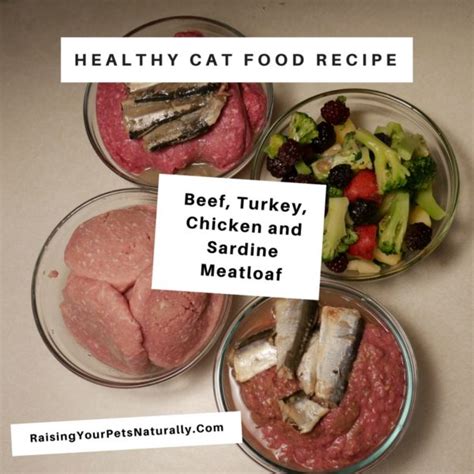 If tuna isn't kitty's thing, this cat treat recipe from the nest says it can be substituted with salmon or strained meat baby food in ham, beef or chicken flavors. Beef, Turkey, Chicken and Sardine Meatloaf for Cats ...