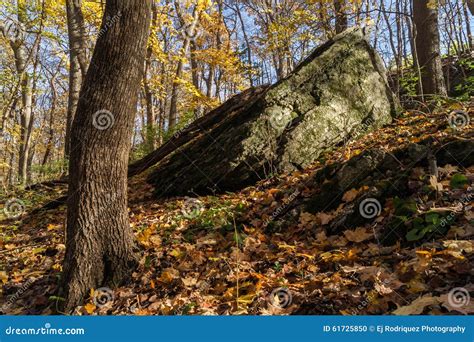 Autumn In Starved Rock Illinois Stock Photo Image Of Plant October