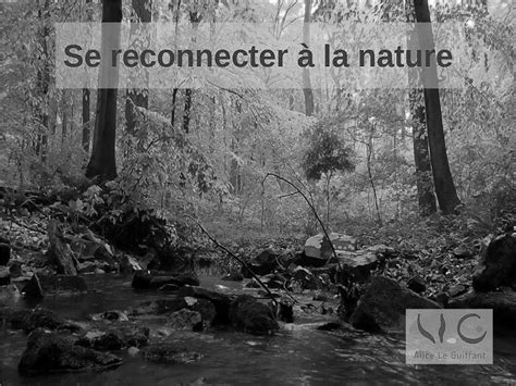 Reconnexion Se Reconnecter Avec La Nature Alice Le Guiffant