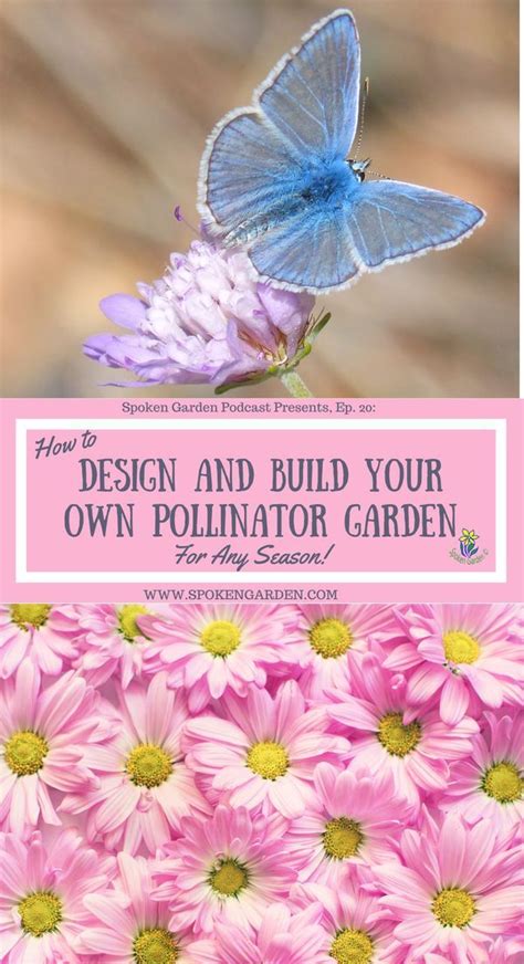 Ep20 How To Design And Build Your Own Pollinator Garden For Any Season