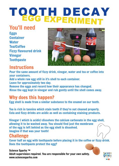 Printable Instructions For A Tooth Decay Experiment Using Eggs Great
