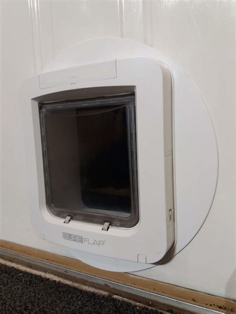 Click on photo to see the full story by hay park pupils! Long Term Review of the SureFlap Cat Flap with Microchip ...
