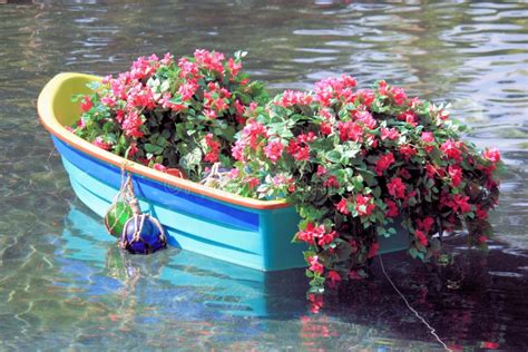 Boat With Flowers Stock Photo Image Of Flowers Boat 10491700