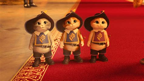 We did not find results for: The Three Musketeers GIFs - Find & Share on GIPHY